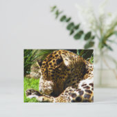 Shy Leopard Briefkaart (Staand voorkant)