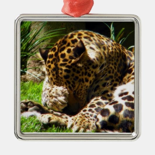 Shy Leopard Metalen Ornament (Voorkant)