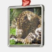 Shy Leopard Metalen Ornament (Links)