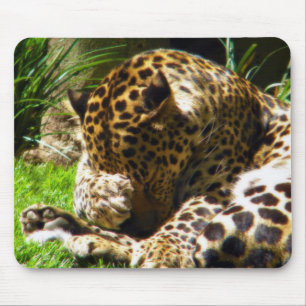 Shy Leopard Muismat
