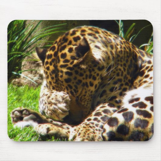 Shy Leopard Muismat (Voorkant)
