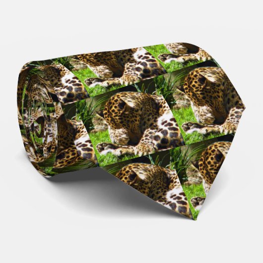 Shy Leopard Stropdas (Opgerold)