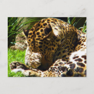 Shy Leopard Vergeet mij niet Briefkaart