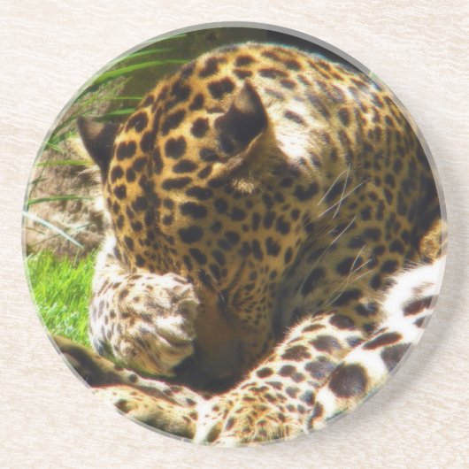 Shy Leopard Zandsteen Onderzetter (Voorkant)