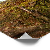 "Shy Little Vixen" Poster (Hoek)