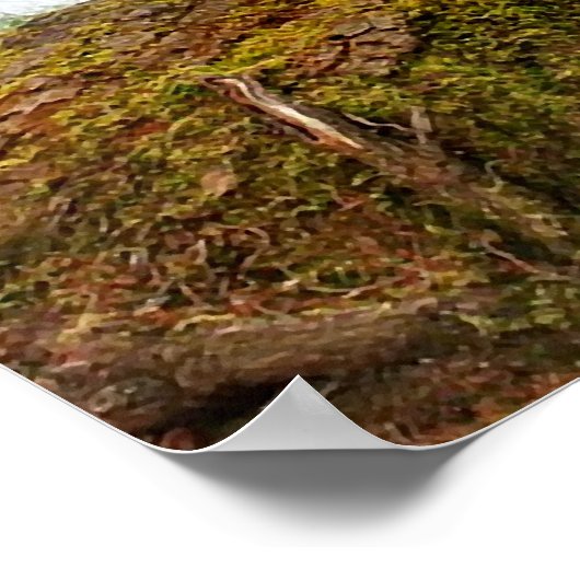 "Shy Little Vixen" Poster (Hoek)