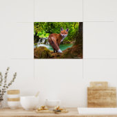 "Shy Little Vixen" Poster (Keuken)