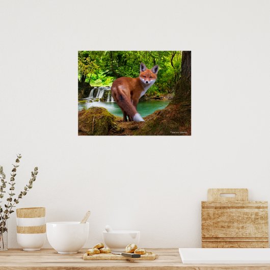 "Shy Little Vixen" Poster (Keuken)