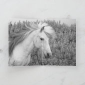 Shy Lupine Mare Horse Wenskaart Kaart (Binnen)