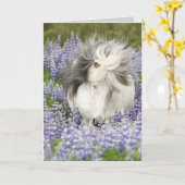 Shy Lupine Mare Horse Wenskaart Kaart (Gele Bloem)