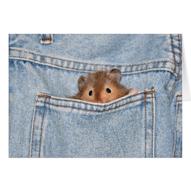 shy peekaboe (Voorkant Horizontaal)