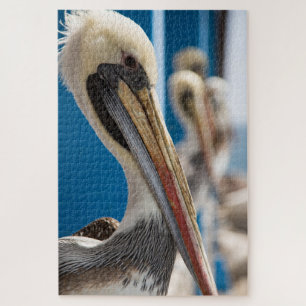 Shy pelican op het strand legpuzzel