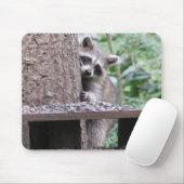 Shy Raccoon Mousepad Muismat (Met muis)