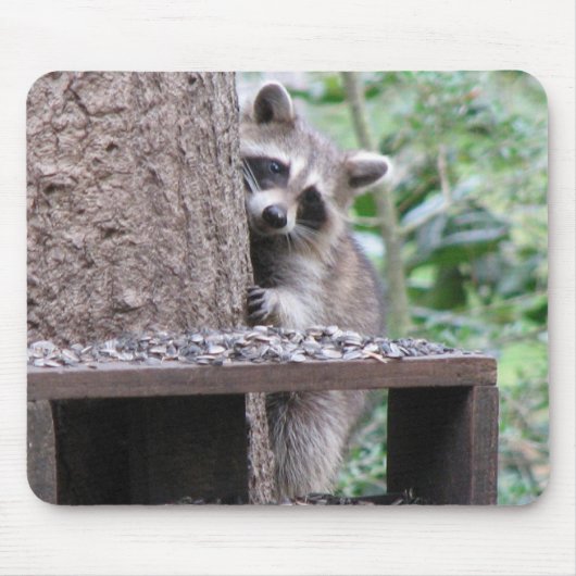 Shy Raccoon Mousepad Muismat (Voorkant)