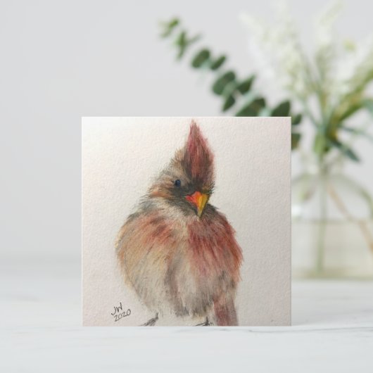 Shy Red Bird kaart (Staand voorkant)