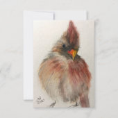 Shy Red Cardinand Note Card Bedankkaart (Voorkant)