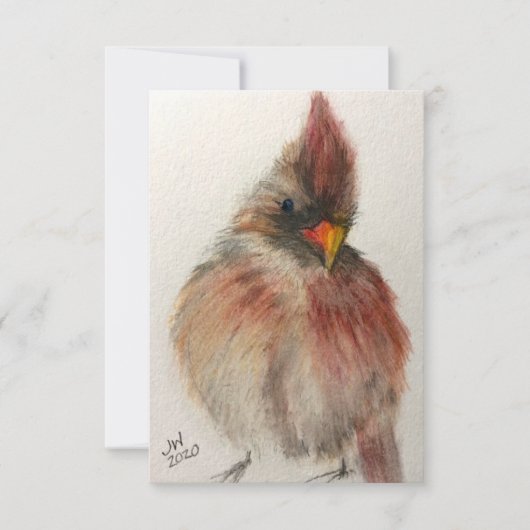 Shy Red Cardinand Note Card Bedankkaart (Voorkant)