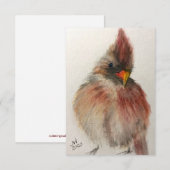Shy Red Cardinand Note Card Bedankkaart (Voorkant / Achterkant)