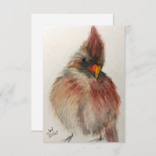 Shy Red Cardinand Note Card Bedankkaart (Voorkant / Achterkant)