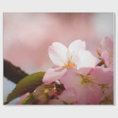 Shy Sakura Flower zichzelf achter bloesems Cadeaupapier (Vlak)