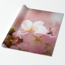 Shy Sakura Flower zichzelf achter bloesems Cadeaupapier