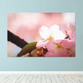 Shy Sakura Flower zichzelf achter bloesems Canvas Afdruk (Insitu (Houten vloer))