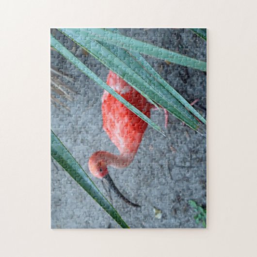 Shy Scarlet Ibis Legpuzzel (Verticaal)