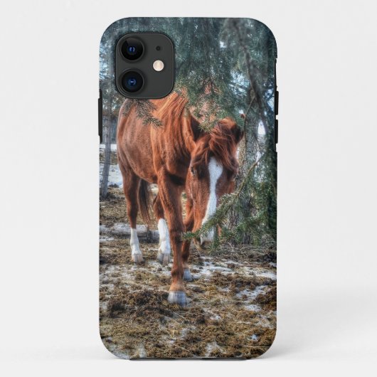 Shy Sorrel Mare and Branches Horse-lover Gift Case-Mate iPhone Case (Achterkant)