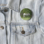 Shy White Horse Button (In situ)