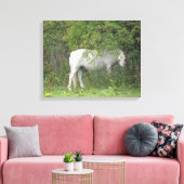 Shy White Horse Canvas afdrukken (Insitu (Woonkamer))