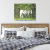 Shy White Horse Canvas afdrukken (Insitu (Slaapkamer))