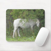 Shy White Horse Mousepad Muismat (Met muis)