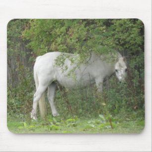 Shy White Horse Mousepad Muismat