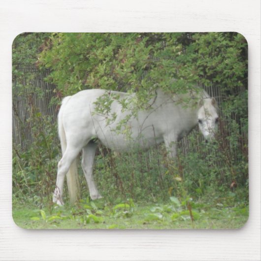 Shy White Horse Mousepad Muismat (Voorkant)