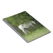 Shy White Horse Notitieboek (Rechterzijde)