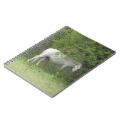 Shy White Horse Notitieboek (Linkerzijde)