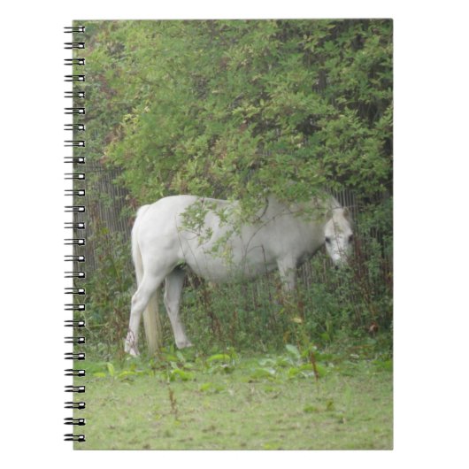 Shy White Horse Notitieboek (Voorkant)