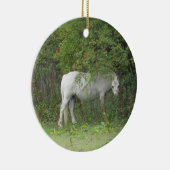 Shy White Horse Ornament (Rechts)