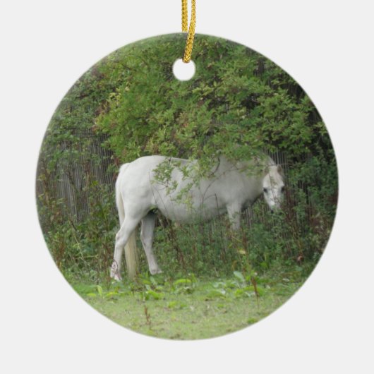 Shy White Horse Ornament (Voorkant)