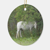 Shy White Horse Ornament (Links)
