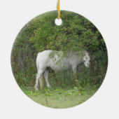 Shy White Horse Ornament (Achterkant)