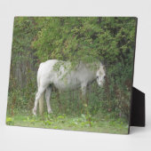 Shy White Horse Plaque Fotoplaat (Zijkant)