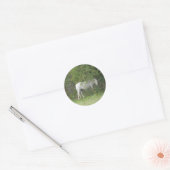 Shy White Horse Sticker (Envelop)
