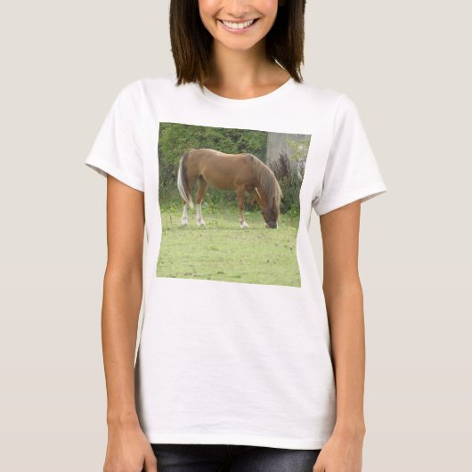 Shy White Horse T Shirt (Voorkant)