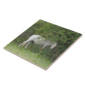 Shy White Horse Tile Tegeltje (Zijkant)