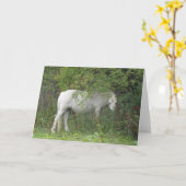 Shy White Horse Wenskaart Kaart (Gele Bloem)