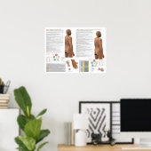 SI TW Meridiaan Acupunctuurpunten Poster (Thuiskantoor)