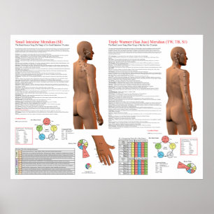 SI TW Meridiaan Acupunctuurpunten Poster
