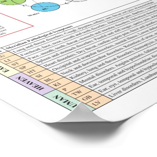SI TW Meridian Acupuncture Points Poster (Hoek)