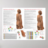 SI TW Meridian Acupuncture Points Poster (Voorkant)